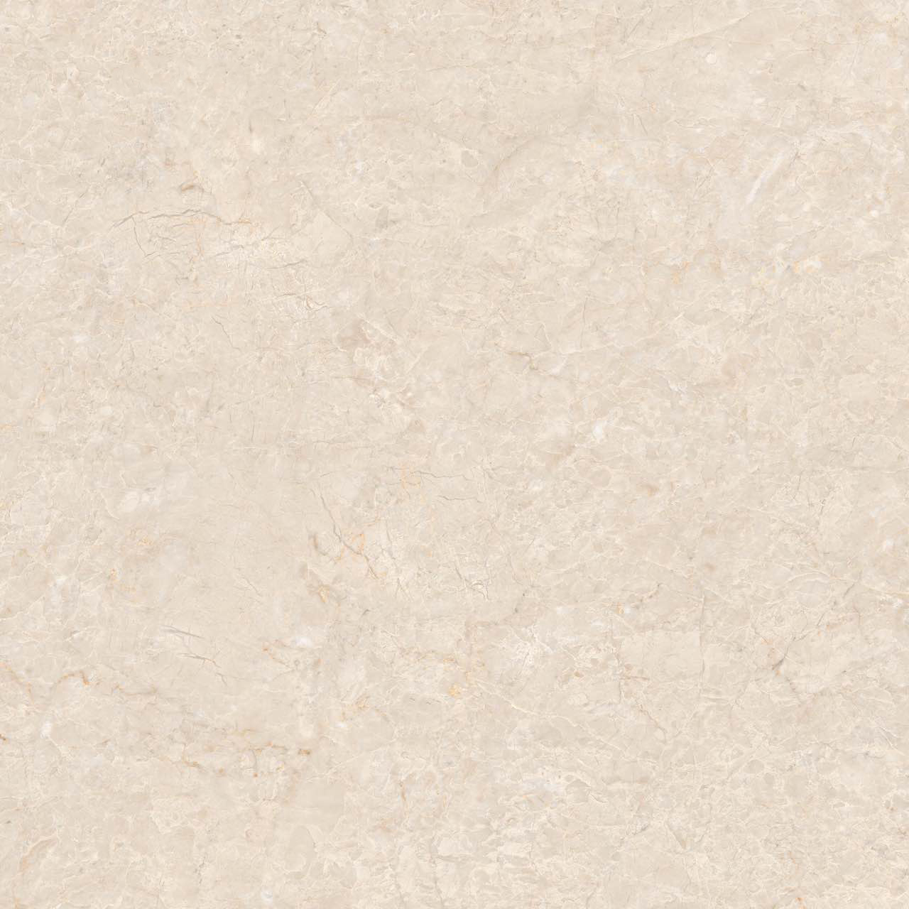 BT88017·新卡米黄