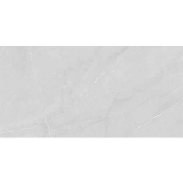 V4856XT