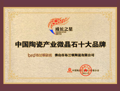 布兰顿瓷砖荣获2013微晶石十大品牌