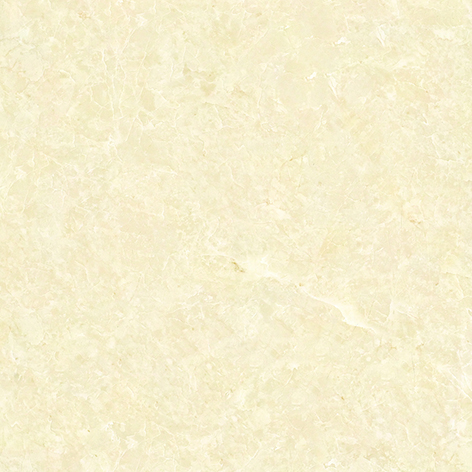 SC8131·白玉兰 .jpg