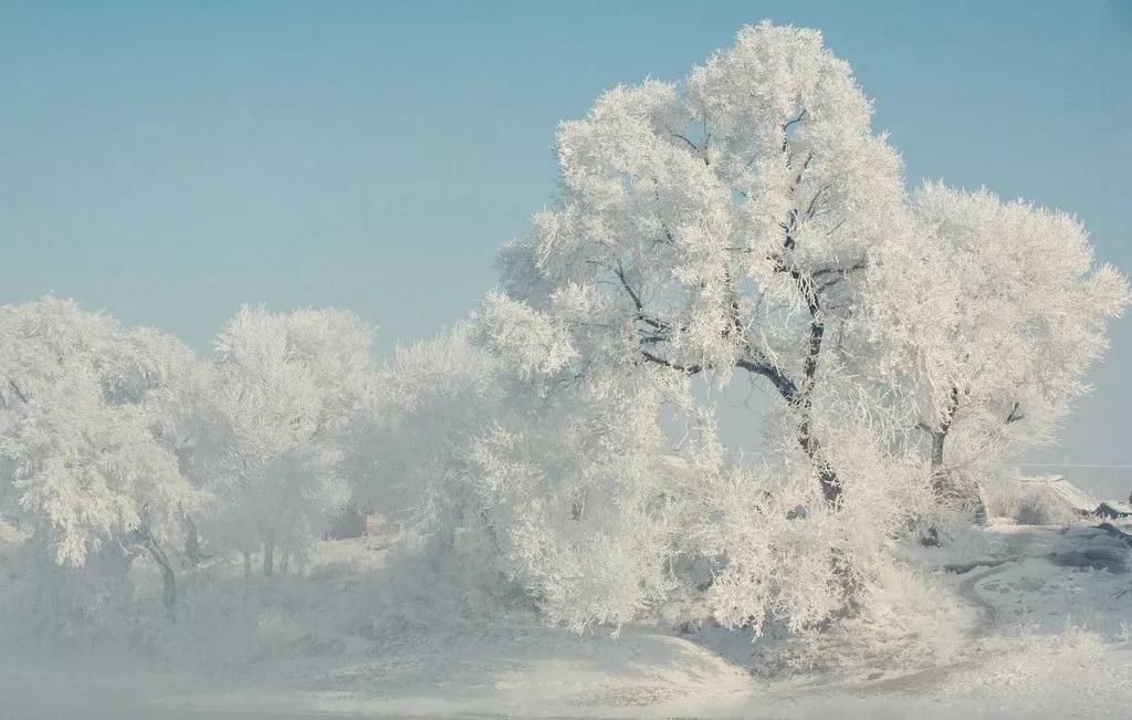 雪域奇缘