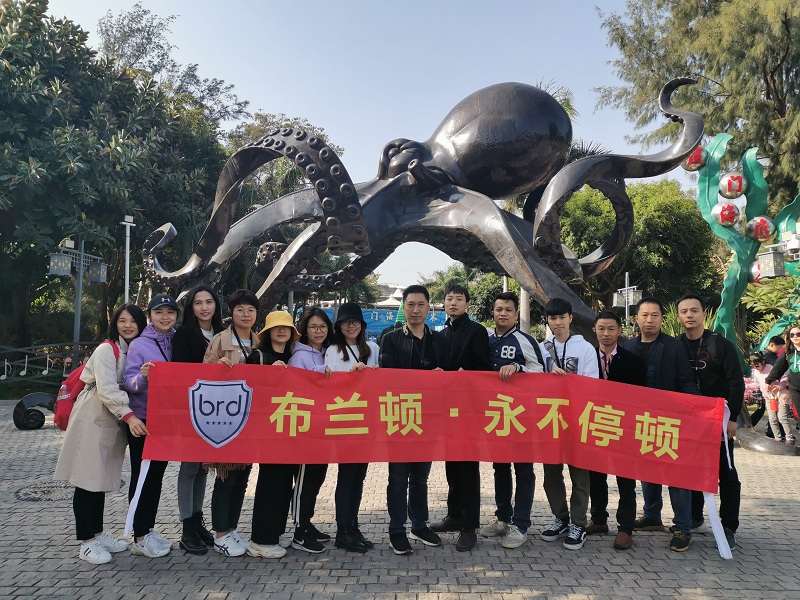 布兰顿大理石瓷砖